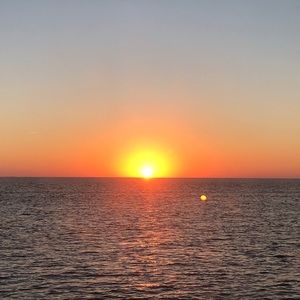 Meet your Posher, Reagan